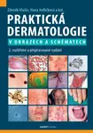 Praktická dermatologie v obrazech a schématech - Hana Jedličková, Vlašín Zdeněk