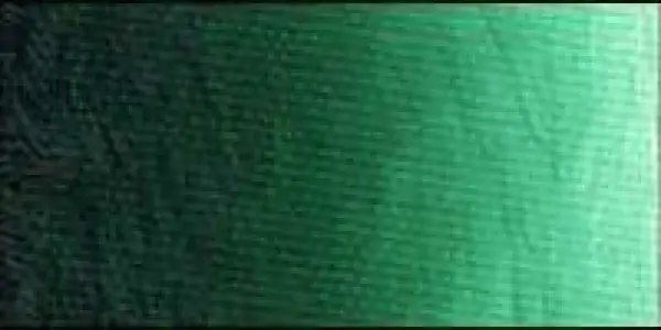 Olejová barva Old Holland 40ml – 048 Scheveningen Green