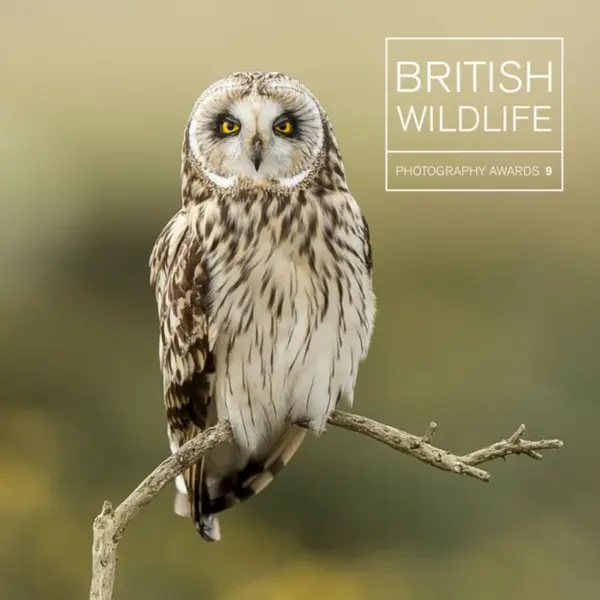 British Wildlife Photography Awards 9 - Maggie Gowan