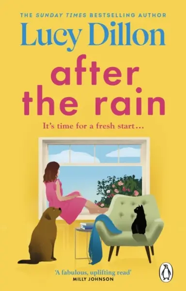After the Rain - Lucy Dillon