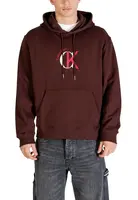 Calvin Klein pánská mikina s kapucí