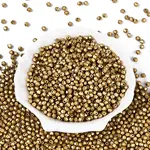 Baking Paint Pearlized Glass Seed Beads