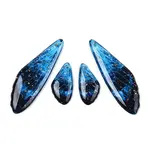 Transparent Resin Wing Earrings Pendants