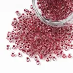8/0 Transparent Glass Seed Beads