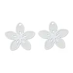 430 Stainless Steel Charms