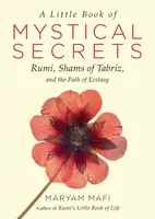 A Little Book of Mystical Secrets - Maryam Mafi