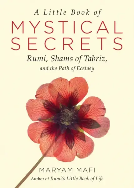 A Little Book of Mystical Secrets - Maryam Mafi