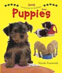 Say and Point Picture Boards: Puppies - Tuxworth Nicola