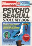 Psycho Seagull Stole My Dog - Paul Cookson
