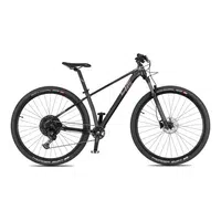 Horské kolo 4EVER Dark Team 29" 8.0 S (15,5", 150-165 cm) chameleon/hologram