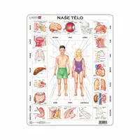 NAŠE TĚLO 35 d. EDU Puzzle