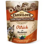 Carnilove Dog Pouch Paté Ostrich with Blackberries 300 g | Kapsička pro psy