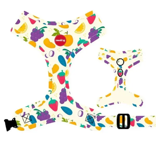 Reedog FRUIT - M | P51918