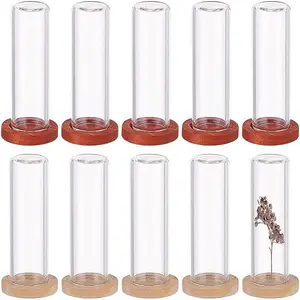 10Pcs 2 Colos Glass Dome Cover