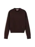 TOMMY HILFIGER Sveter  tmavohnedá