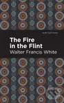 The Fire in the Flint - Walter Francis White