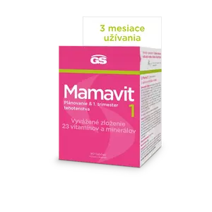 GS Mamavit 1 Plánovanie a 1. trimester 90 tabliet