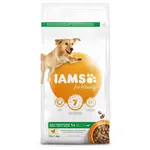 IAMS Dog Adult Large Chicken 3kg