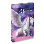 Box na sešity oxybag Pegas - A4