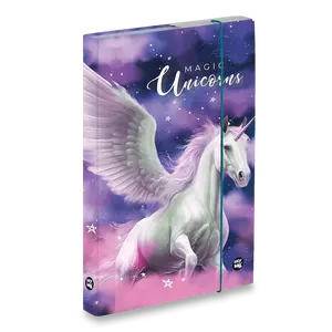 Box na sešity oxybag Pegas - A4