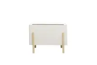 Obdélníkový samozavlažovací květináč ASHI, více variant - Hobby Flower Barva: bílá