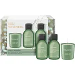 Baylis & Harding Wellness. Energise dárková sada Ginger, Lime & Basil Leaf