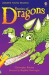 Stories of Dragons - Christopher Rawson