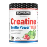 Survival Creatine Monohydrate Gentle Power 480 g limeta-jahoda