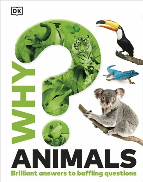 Why? Animals - DK