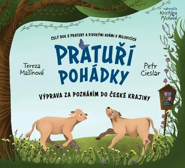 Pratuří pohádky (poškozená) - Petr Cieslar, Tereza Mašínová