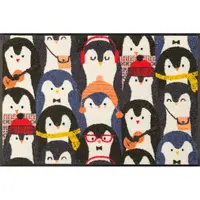 DVEŘNÍ ROHOŽKA, 50/75 cm