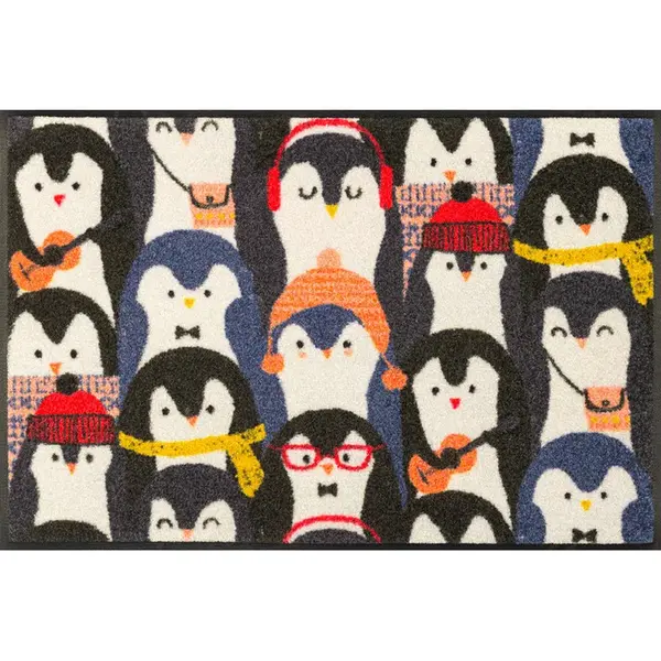 DVEŘNÍ ROHOŽKA, 50/75 cm