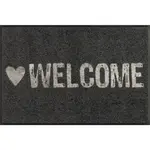 wash+dry DVEŘNÍ ROHOŽKA, 50/75 cm, šedá