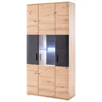 Livetastic KOMBINACE VITRÍN, antracitová, barvy dubu, 100/198/37 cm