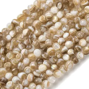 Natural Freshwater Shell Beads Strands