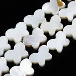Natural Freshwater Shell Beads Strands