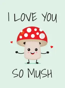 I Love You So Mush - Summersdale Publishers