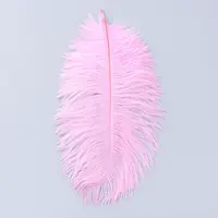 Ostrich Feather Costume Accessories