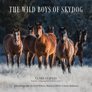 The Wild Boys of Skydog - Clare Staples