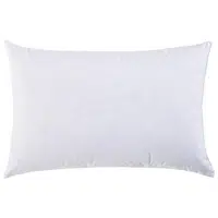 Sleeptex VÝPLŇ POLŠTÁŘE 40/60 cm
