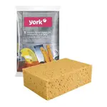 Houbička YORK Y012090