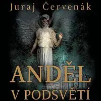 Marek Holý – Červenák: Anděl v podsvětí CD-MP3