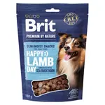 BRIT Premium by Nature SM Snacks Lamb 180 g