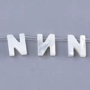 Natural Sea Shell Beads