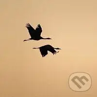 Marien: Světla je víc - Marien