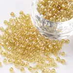8/0 Glass Seed Beads