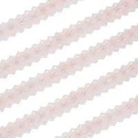 3 Yards Polyester Flower Lace Trim