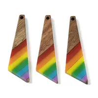 Pride Rainbow Theme Resin & Walnut Wood Pendants