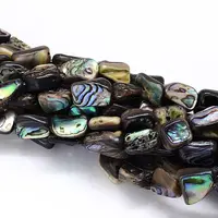 Natural Paua Shell Beads Strands
