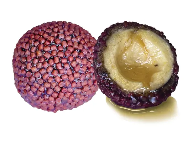 Lk baits boilie nutrigo pellets chilli halibut - 24 mm 250 ml